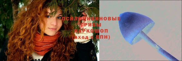 ECSTASY Вяземский