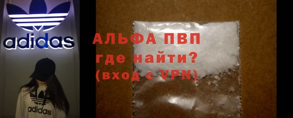 ECSTASY Вяземский