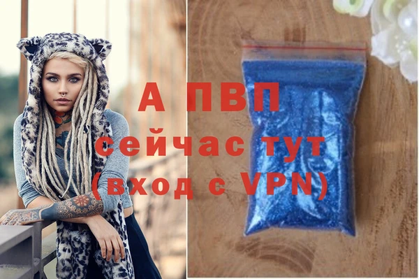 ECSTASY Вяземский